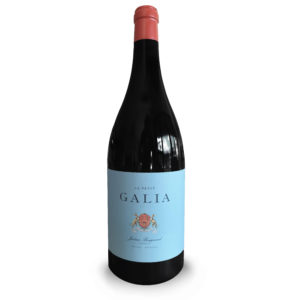 LE PETIT GALIA 2019